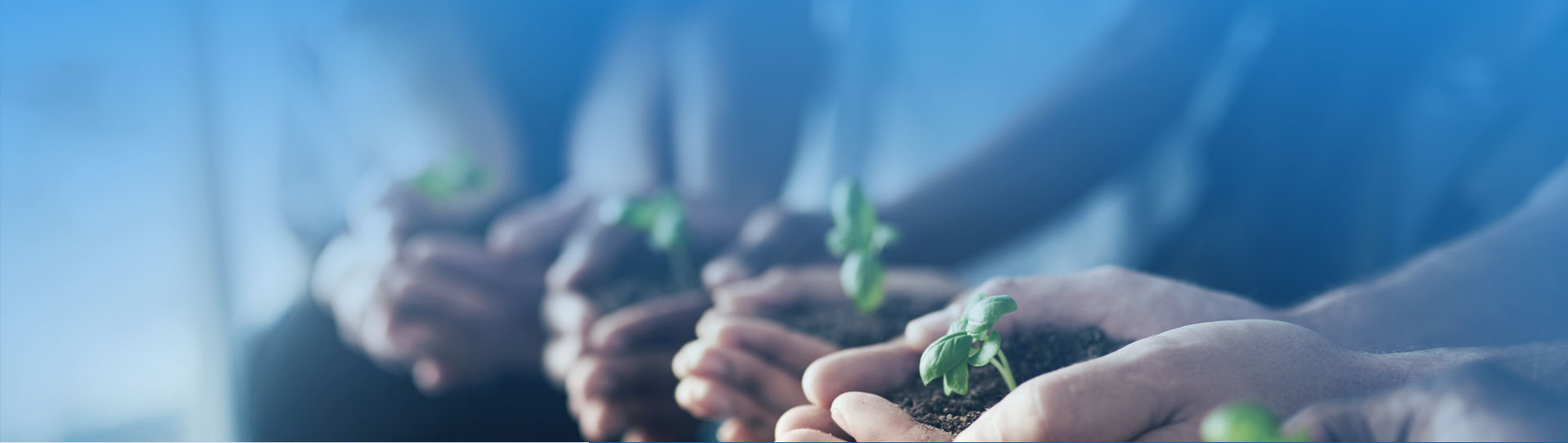 永利集团·yl8cc(中国游)官方网站